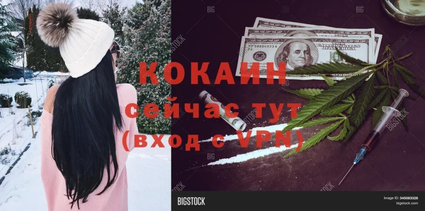 jwh Алзамай