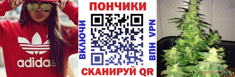 как найти   Алушта  дарк нет Telegram  Бошки Шишки ГИДРОПОН 